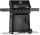 Napoleon Freestyle™ PRO 425, SIZZLE ZONE™, schwarz