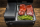 Traeger Ranger Pellet Grill